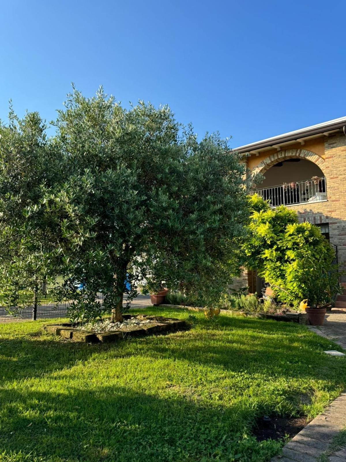 La Casa Di Igni Bed and Breakfast San Donà di Piave Exterior foto